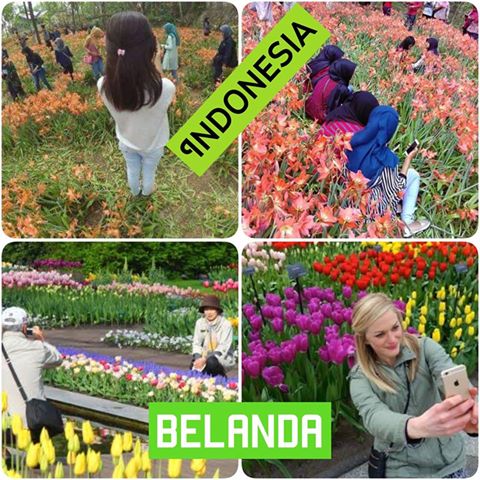 12310611_551100455051523_7330763185613361445_n