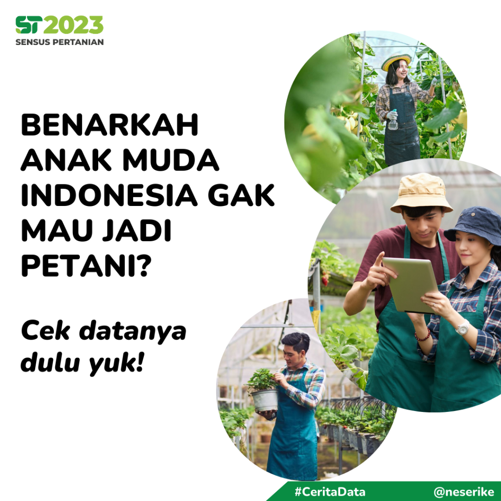 Benarkah Anak Muda Indonesia Gak Mau Jadi Petani?